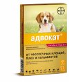 Адвокат 250 капли для собак 10-25 кг.