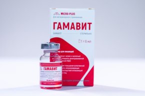 ГАМАВИТ 6 мл - 1 шт