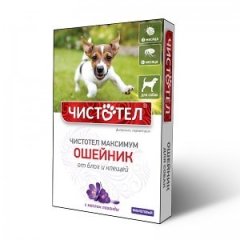 Чистотел Максимум ошейник для собак фиолет.